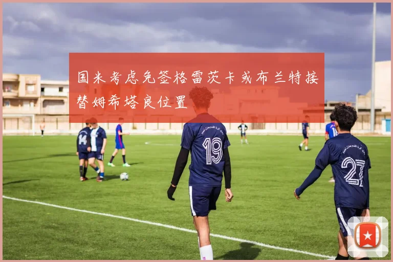 国米考虑免签格雷茨卡或布兰特接替姆希塔良位置